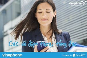 cac so dien thoai tong dai vinaphone