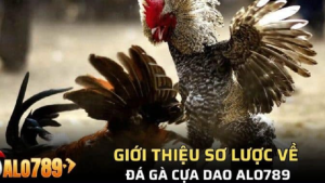 da-ga-cua-dao-alo789-1